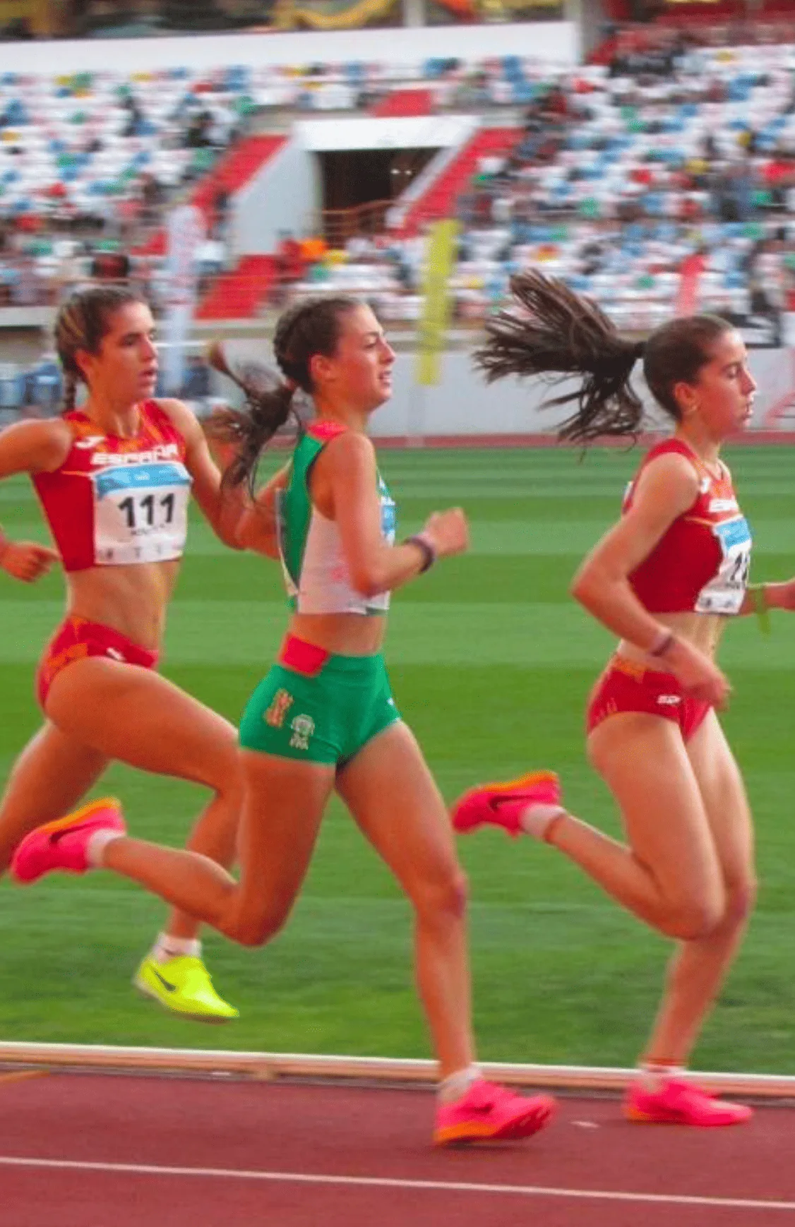 Carolina Teles Correia — Photo 7