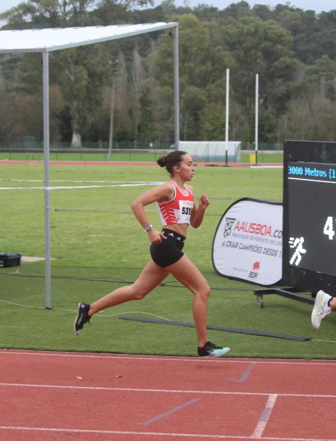 Caetana Vieira Neves — Photo 4