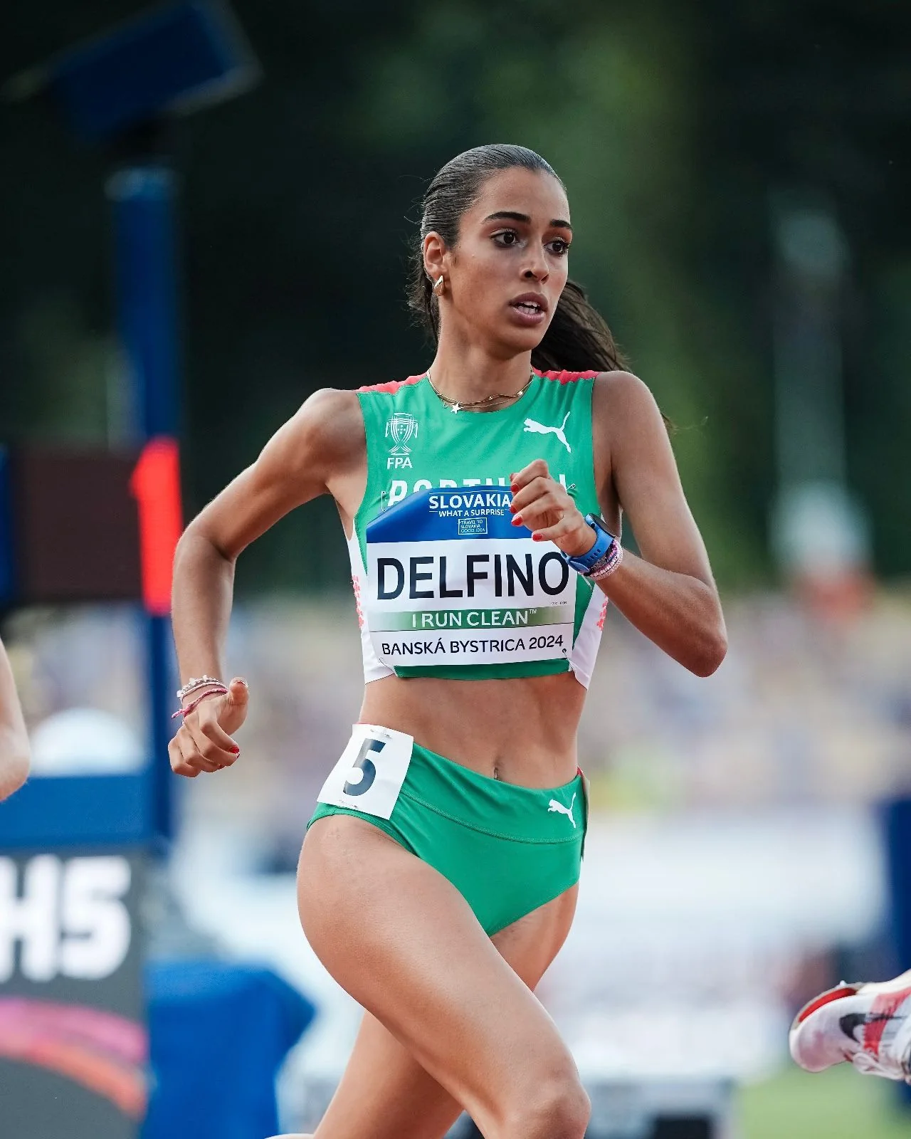 Teresa Ferreira Delfino